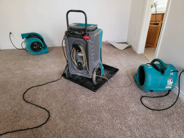 Best 24/7 water damage repair  in Cottage Grove, OR