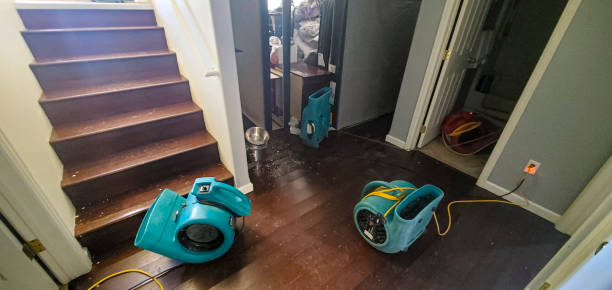 Best Local water damage restoration  in Cottage Grove, OR