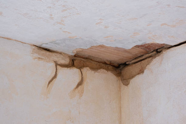 Best Carpet water damage restoration  in Cottage Grove, OR