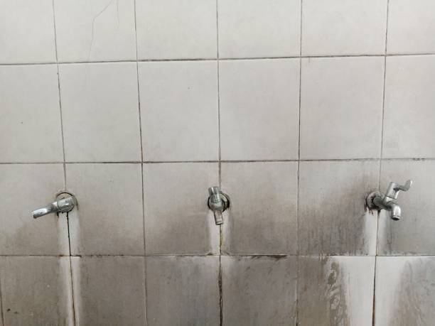 Best Commercial water damage restoration  in Cottage Grove, OR