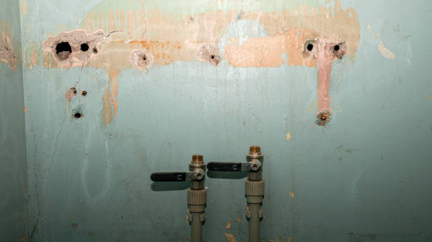 Carpet water damage restoration in OR