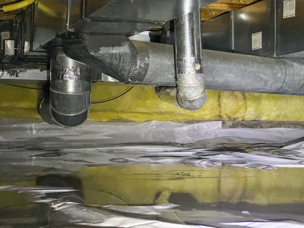 Best Ceiling water damage repair  in Cottage Grove, OR