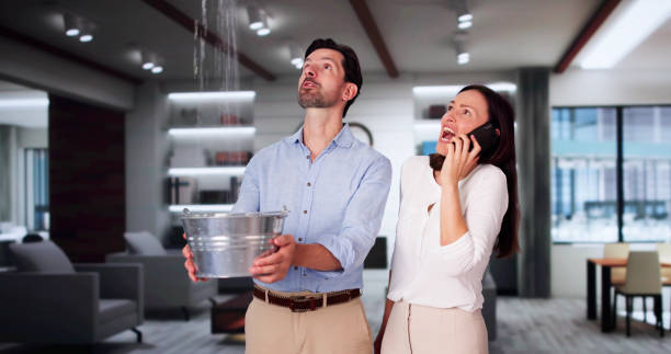 Best Flooded house restoration  in Cottage Grove, OR