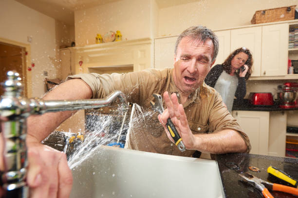 Best Local water damage restoration  in Cottage Grove, OR